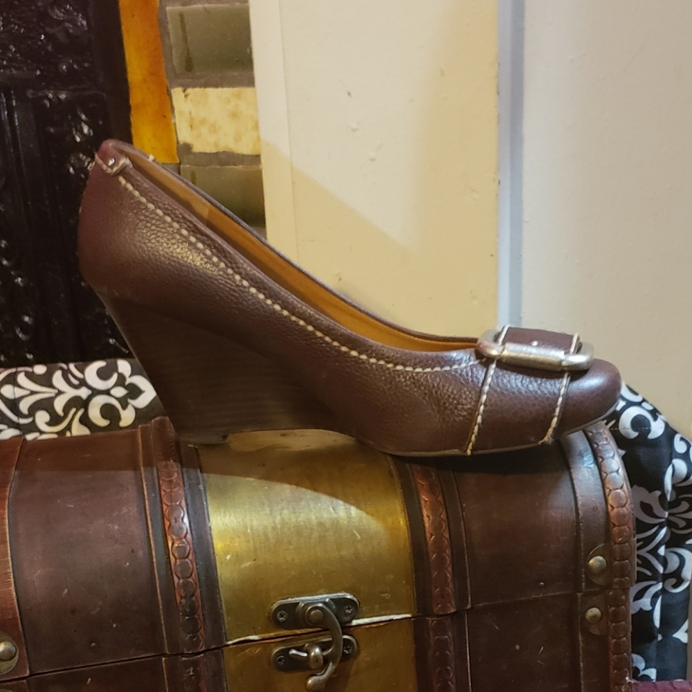 Fossil wedge pump heels